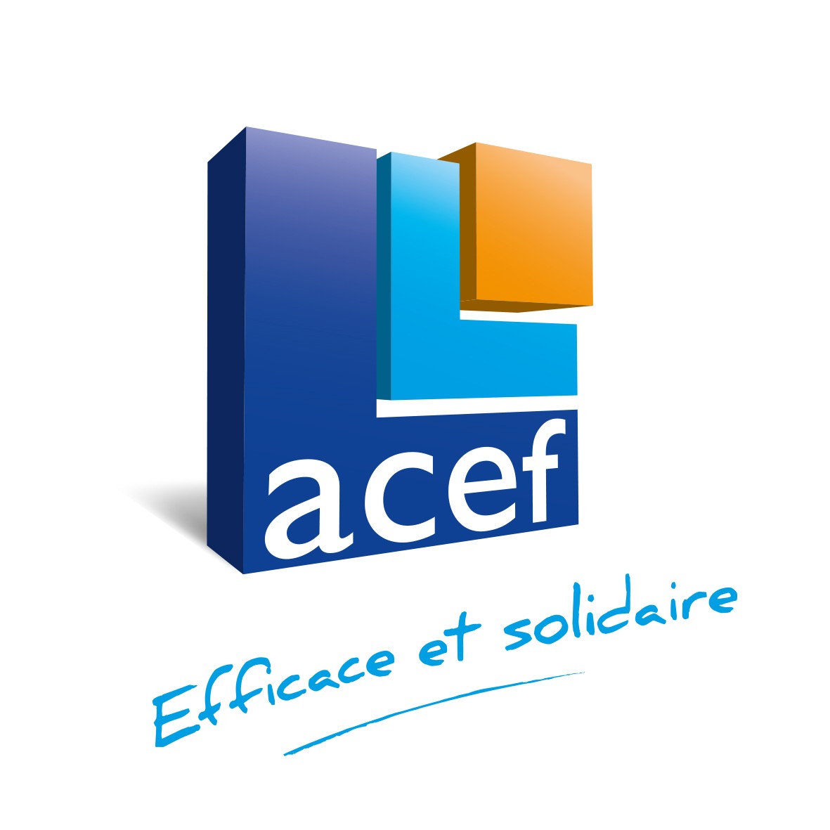 ACEF_logo_RVB