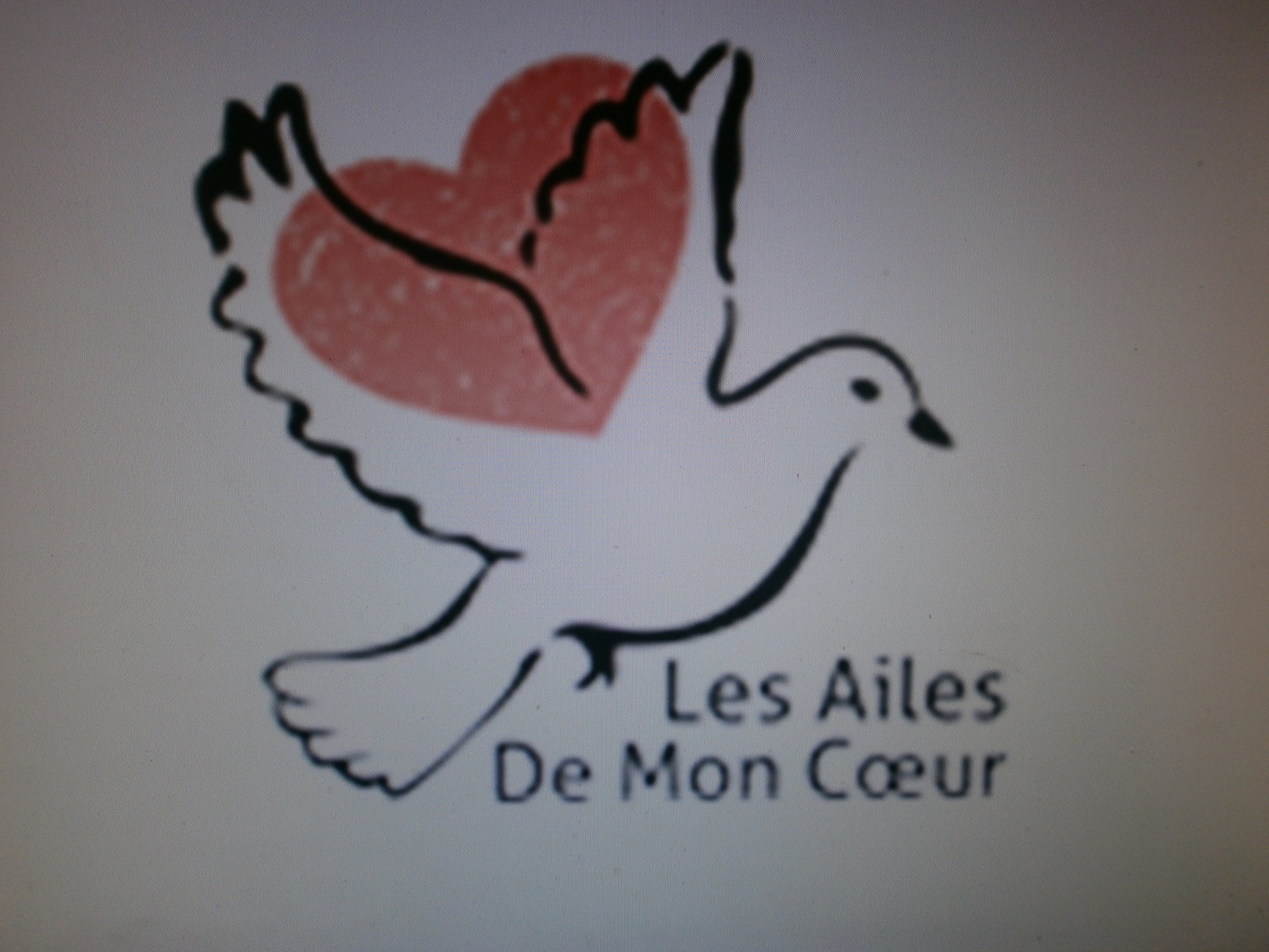 les ailes de mon coeur