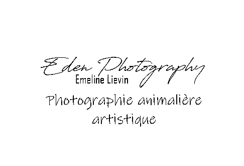 logo-eden-photo