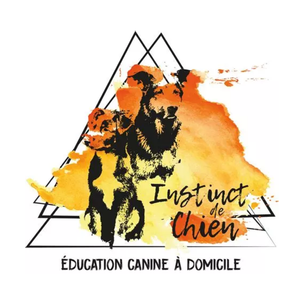 Instinct de chien