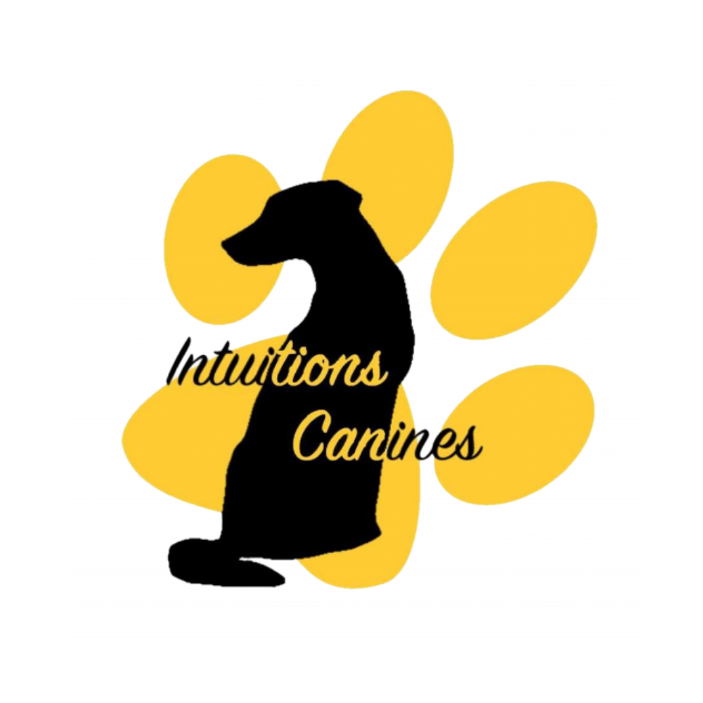 Intuitions Canines