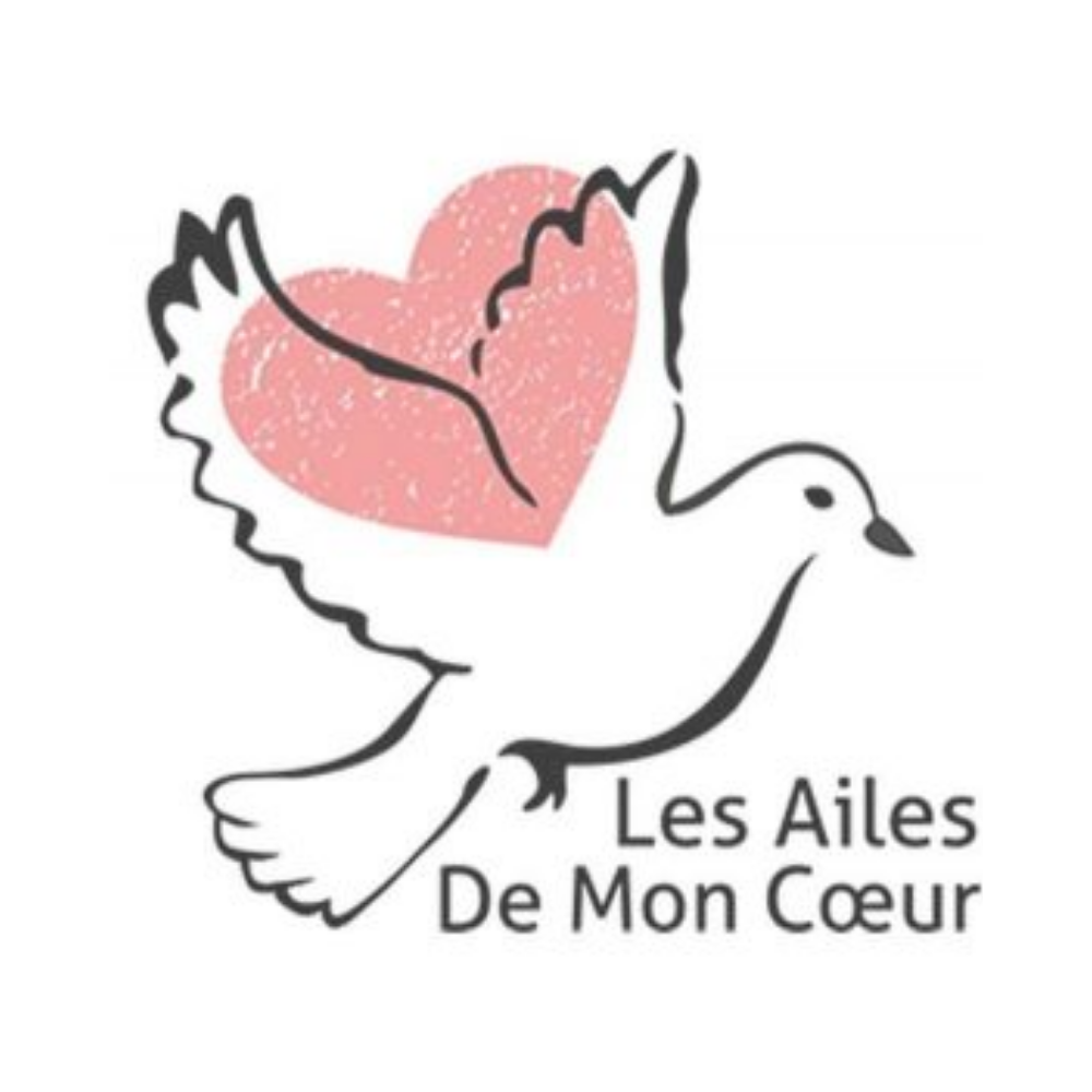 LES AILES DE MON CŒUR